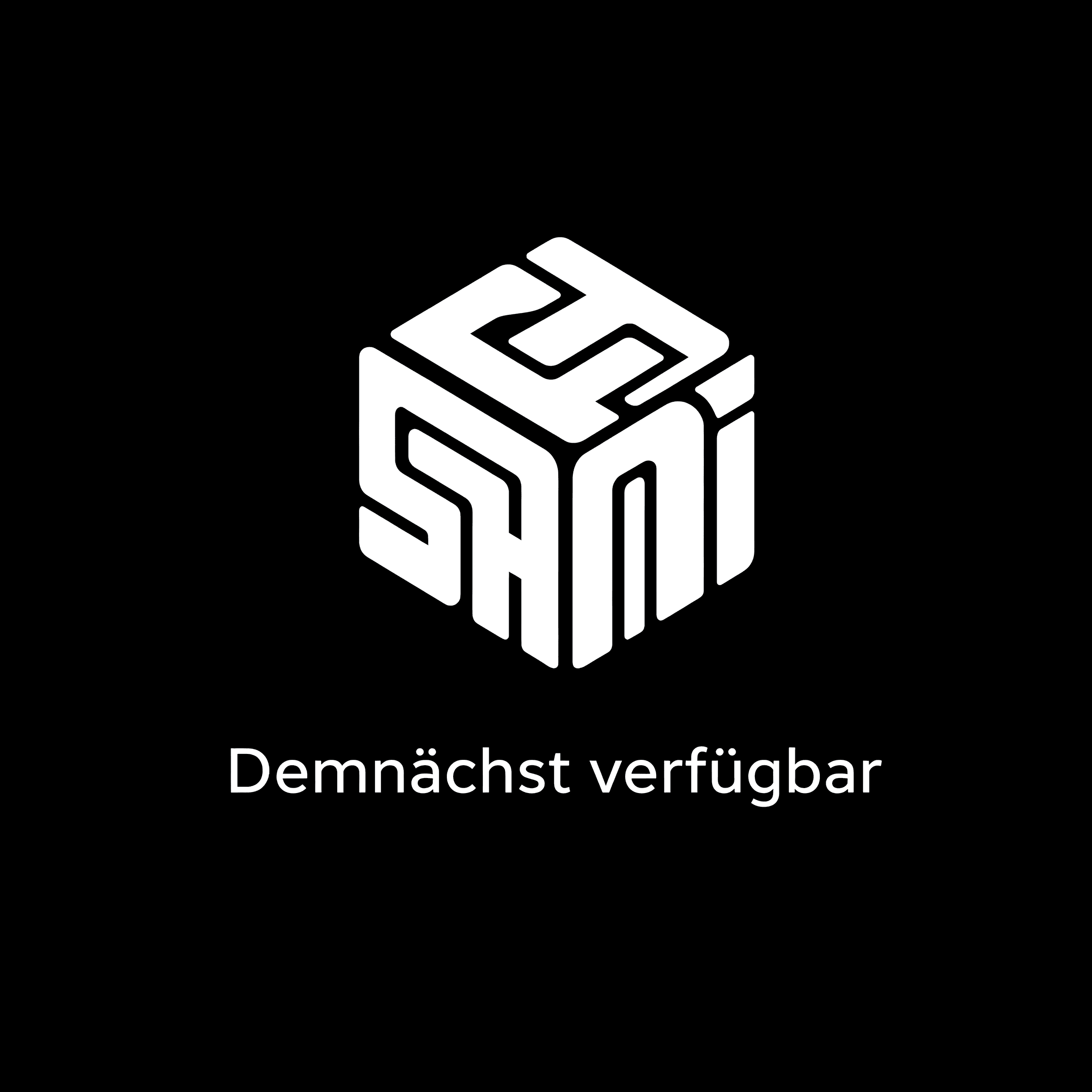 KI-Workflow Case Study